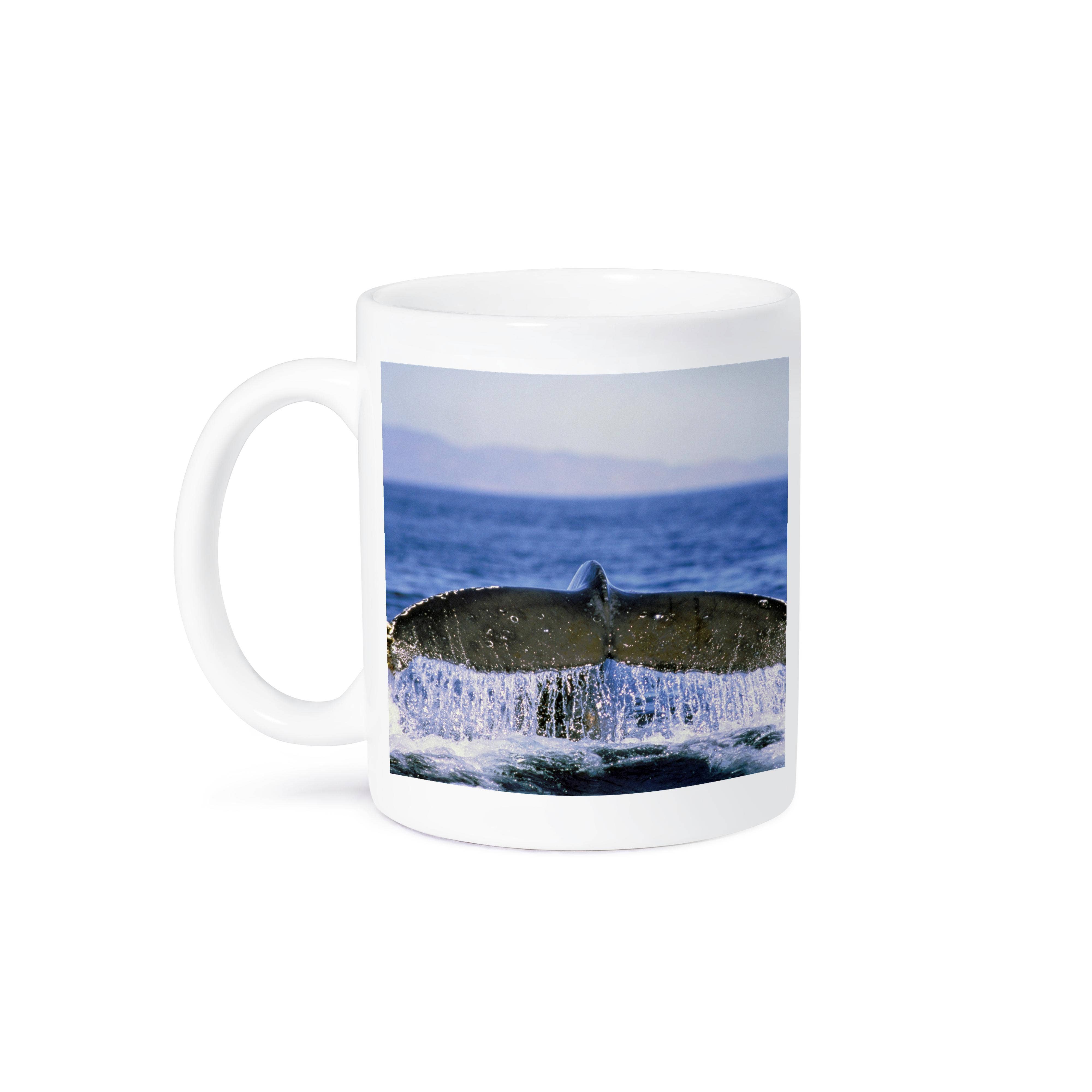 3dRose - Wholesale Coffee Mug - 3dRose, Humpback whale tail - NA02 ANA0023 - Amos Nachoum, Mug8