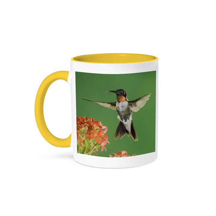 3dRose - Wholesale Coffee Mug - 3dRose, Ruby-throated Hummingbird, Kalanchoe Flower Texas - NA02 RNU0765 - Rolf Nussbaumer, Mug