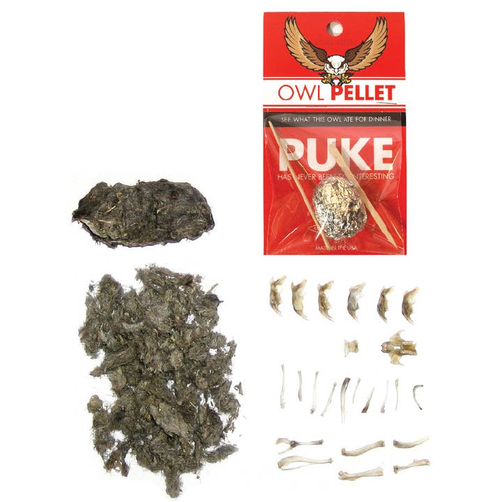 Copernicus Toys - Wholesale Toy Set - Kids - Owl Pellet | Compact Curiosities Dissection Kit Science Demo