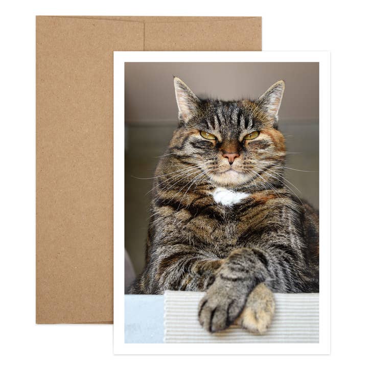 Vieillissement gracieusement pour la vente par Salty Dog Publishing