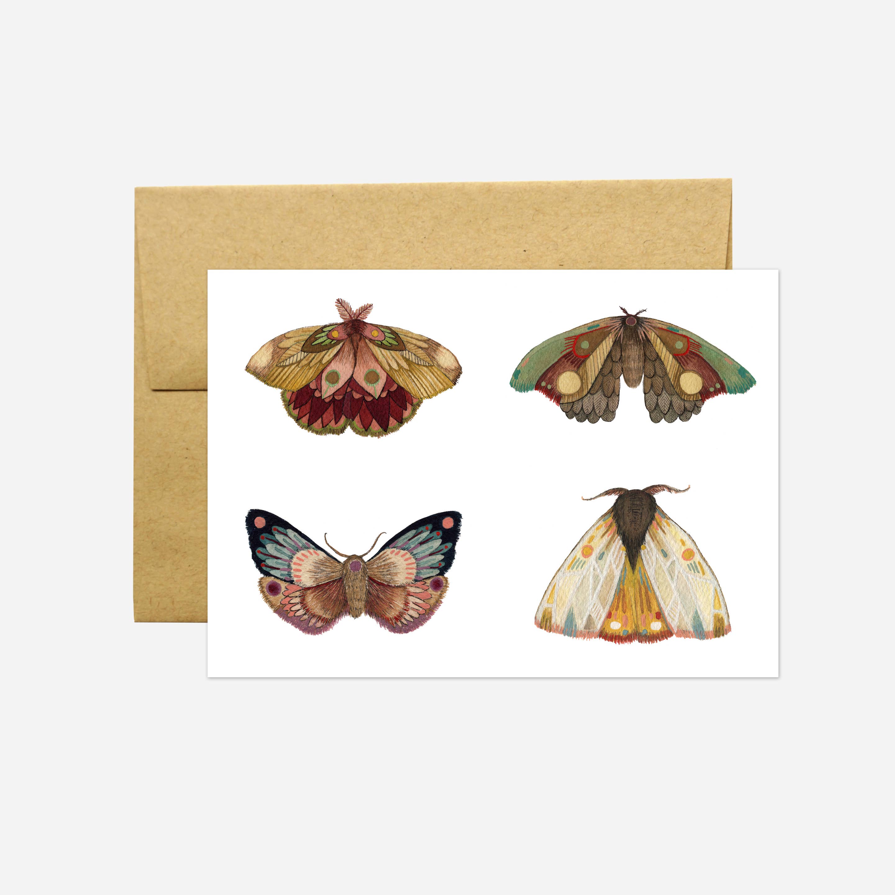 Polanshek of the Hills - Wholesale Everyday Greeting Card - Card - Moths Part III - Collector