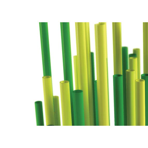 Zolla per la vendita all'ingrosso da parte di Progetti