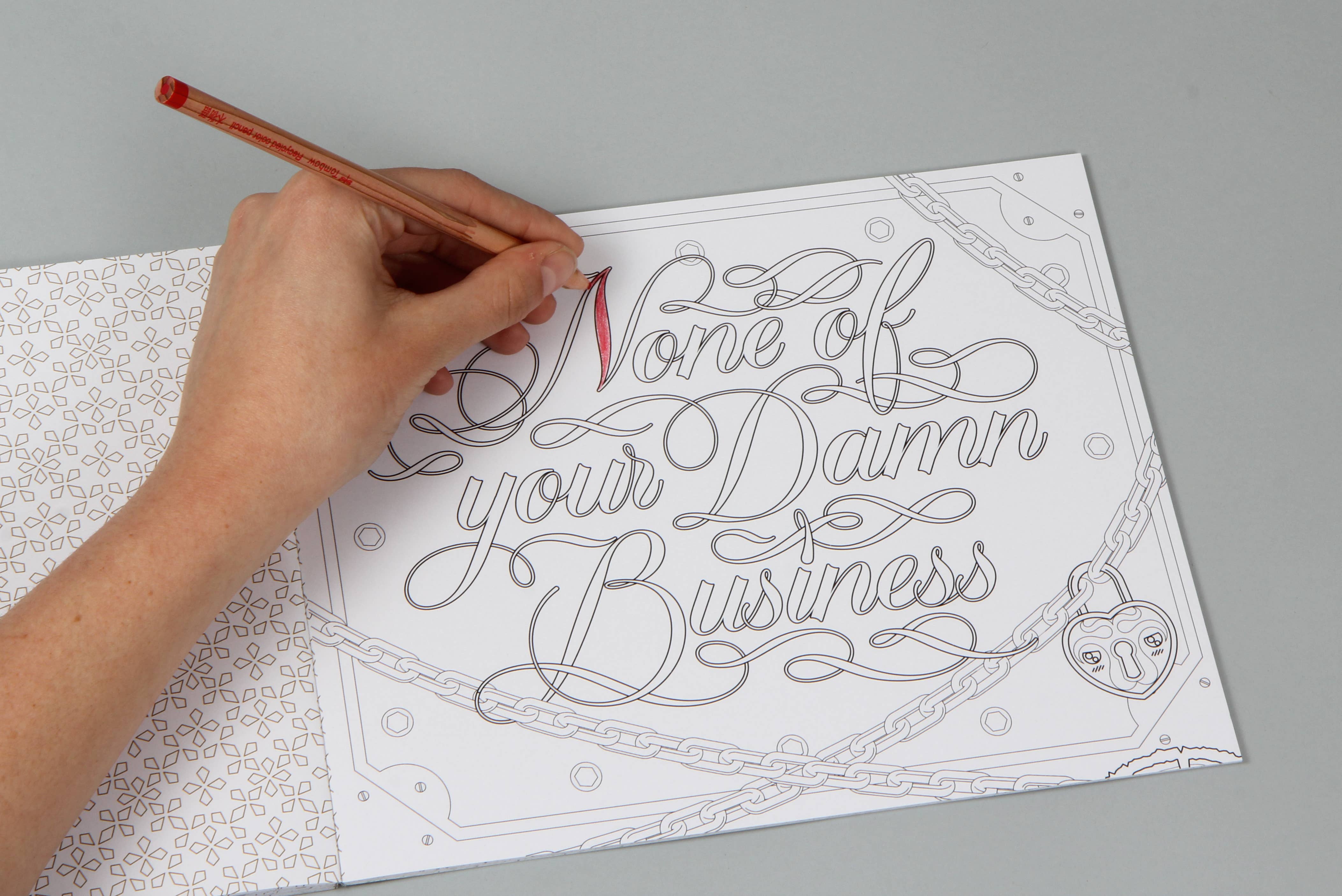 Chronicle Books - Wholesale Coloring & Activity Book - Adult - Fucking Awesome Coloring Book4