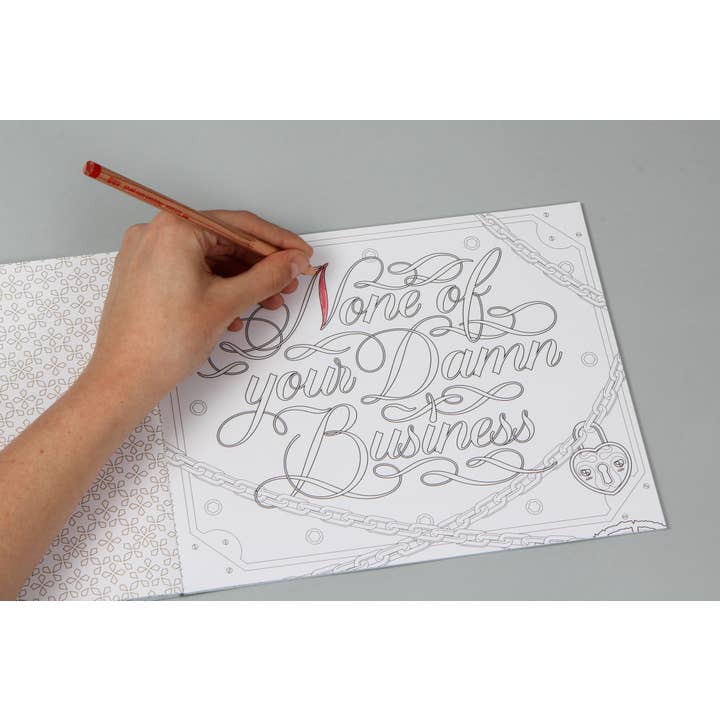 Chronicle Books - Wholesale Coloring & Activity Book - Adult - Fucking Awesome Coloring Book4