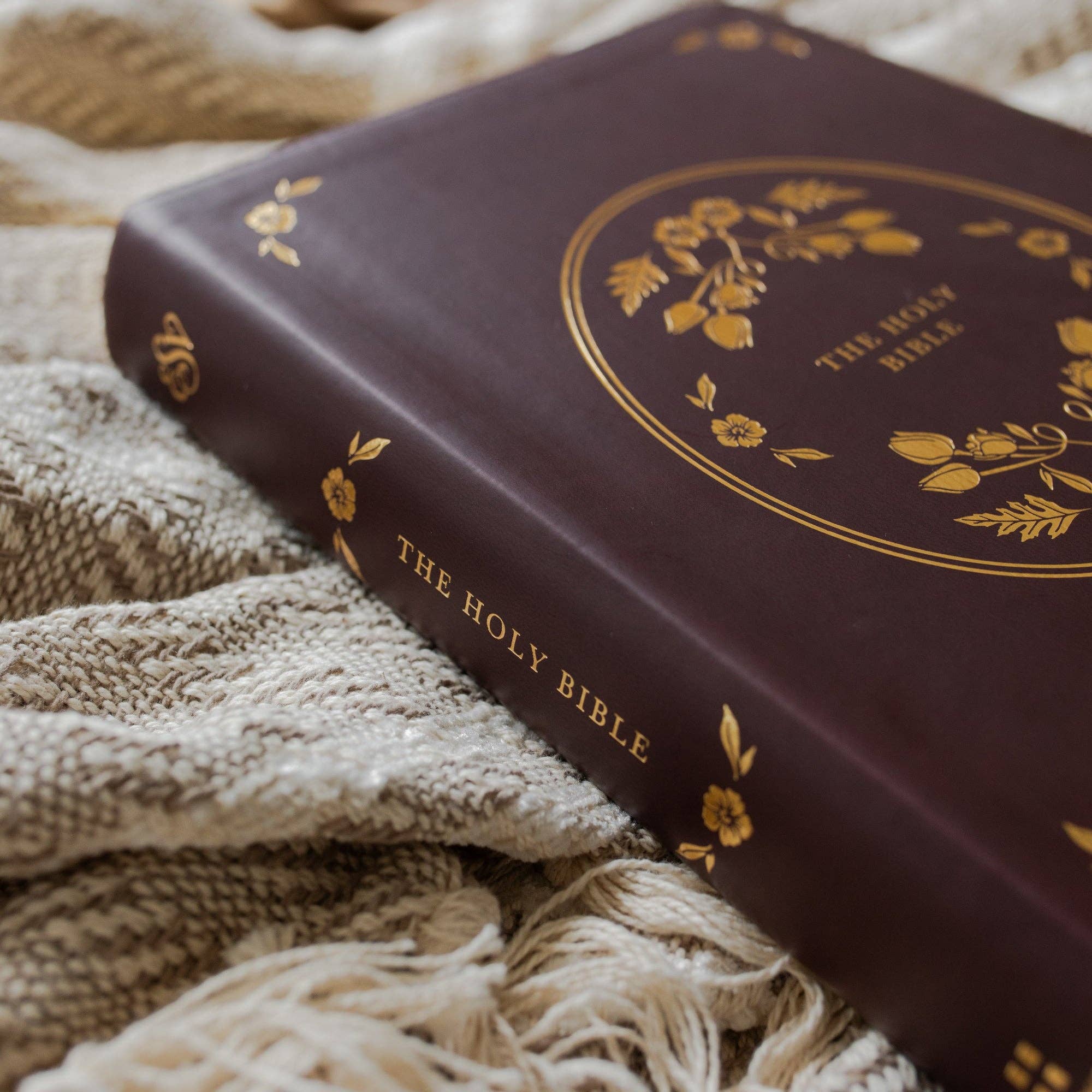 The Daily Grace Co - Wholesale Religion - ESV Wide Margin Reference Bible - John 15:56