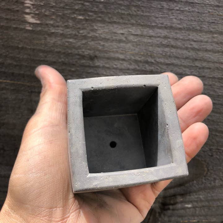Made By Rheal - Wholesale Plant pot - Small Square Charcoal Colored Concrete Pot3