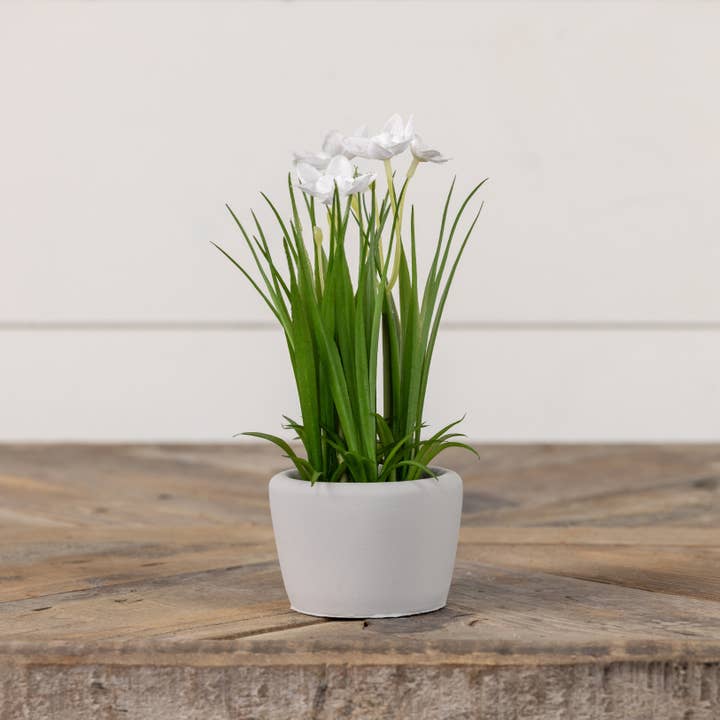 Ragon House - Wholesale Artificial plant - 8.25" POTTED WHITE DAFFODIL1