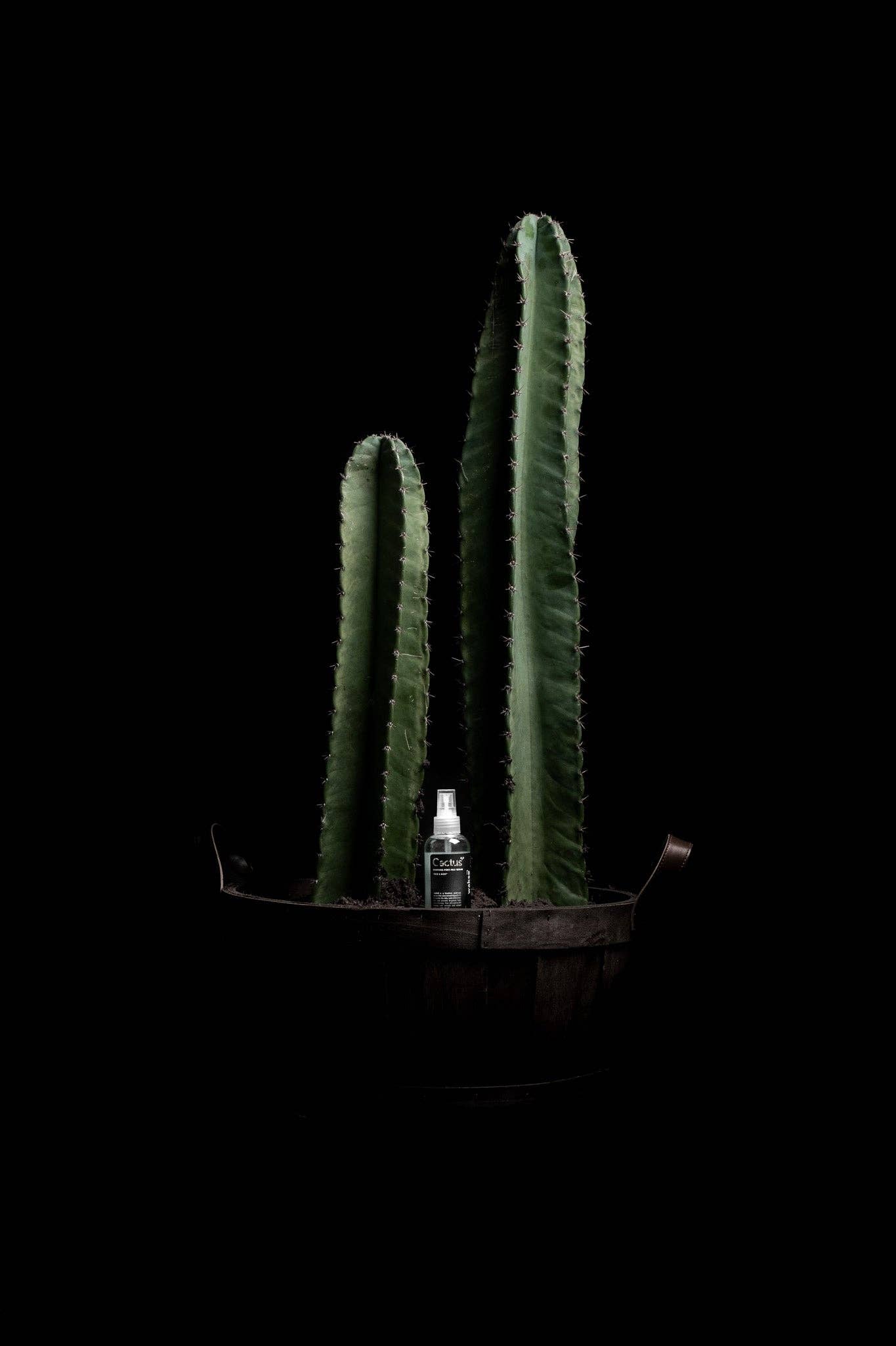 wakse - Wholesale Aftershave - Men's - Post Wax Serums - Cactus H200