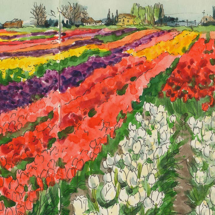 Stampa da disegno a forma di campo di tulipani della valle di Skagit per la vendita all'ingrosso da parte di Anagram Press