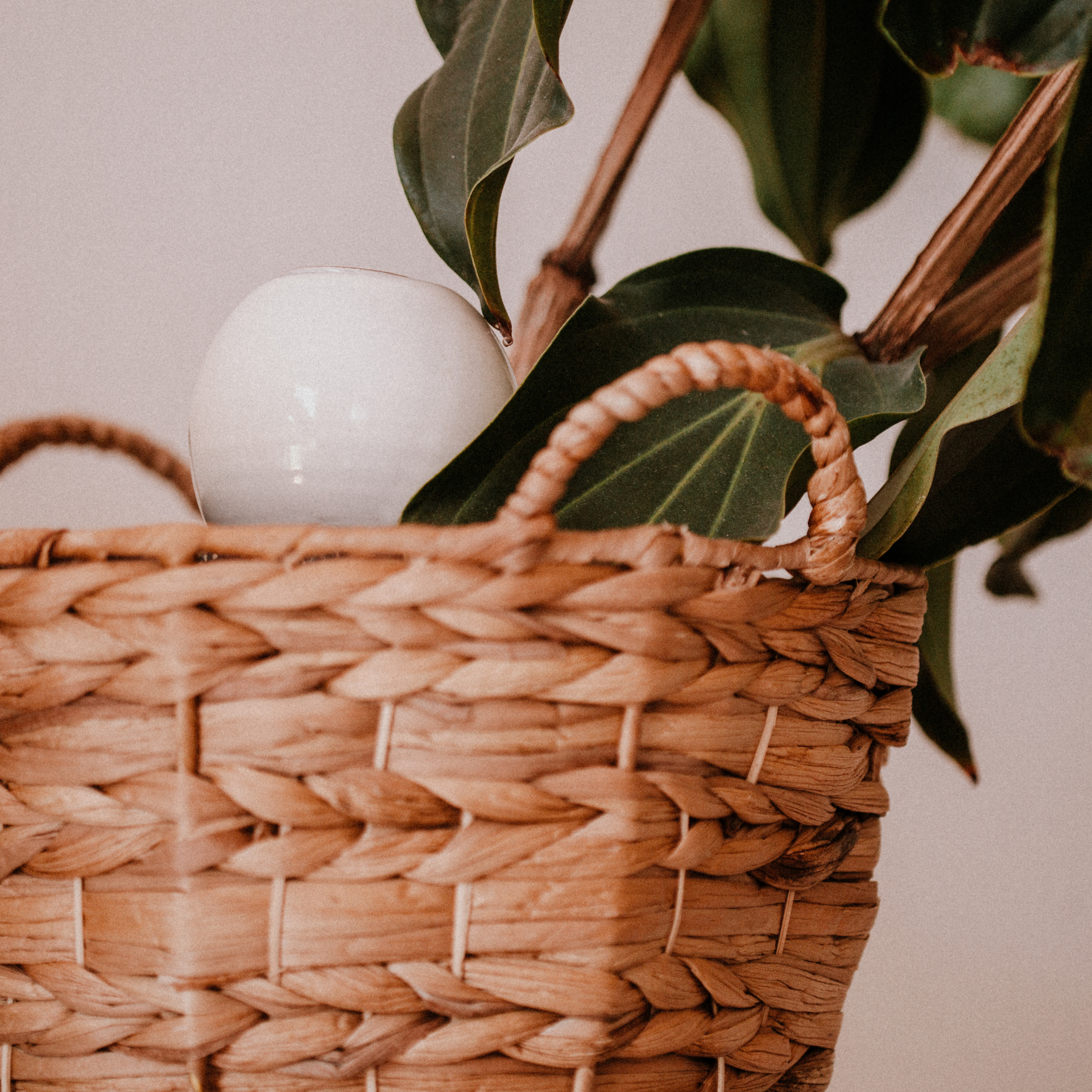 Poterie lutton - Wholesale Plant Pot - Mini Ollas to plant15