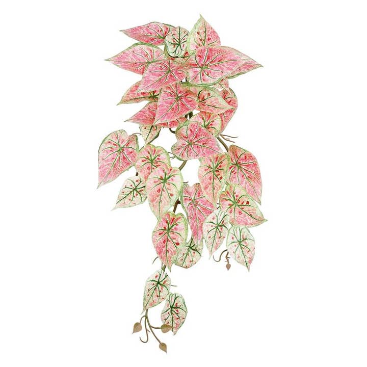 Select Artificials, Inc. - Wholesale Artificial Flowers - Caladium Hanging Bush, 21", Pink