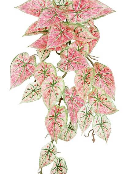 Caladium Hanging Bush, 21", Pink for wholesale by Select Artificials, Inc.