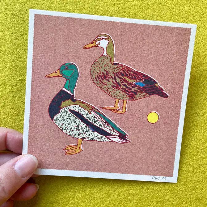 Caroline Clark - Wholesale Postcard - Desert Animal Postcards - Single Design 4 pack