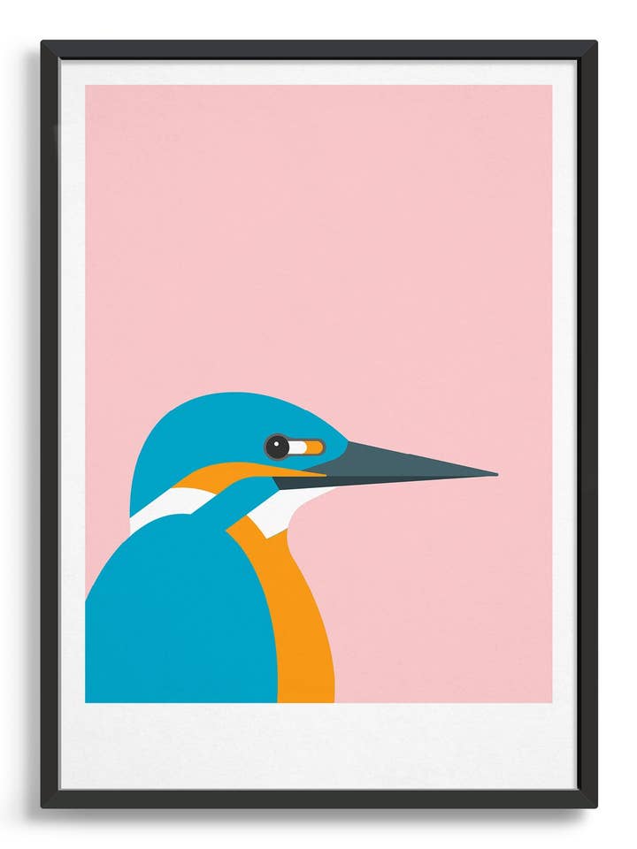 Kingfisher for wholesale by Rocket Jack