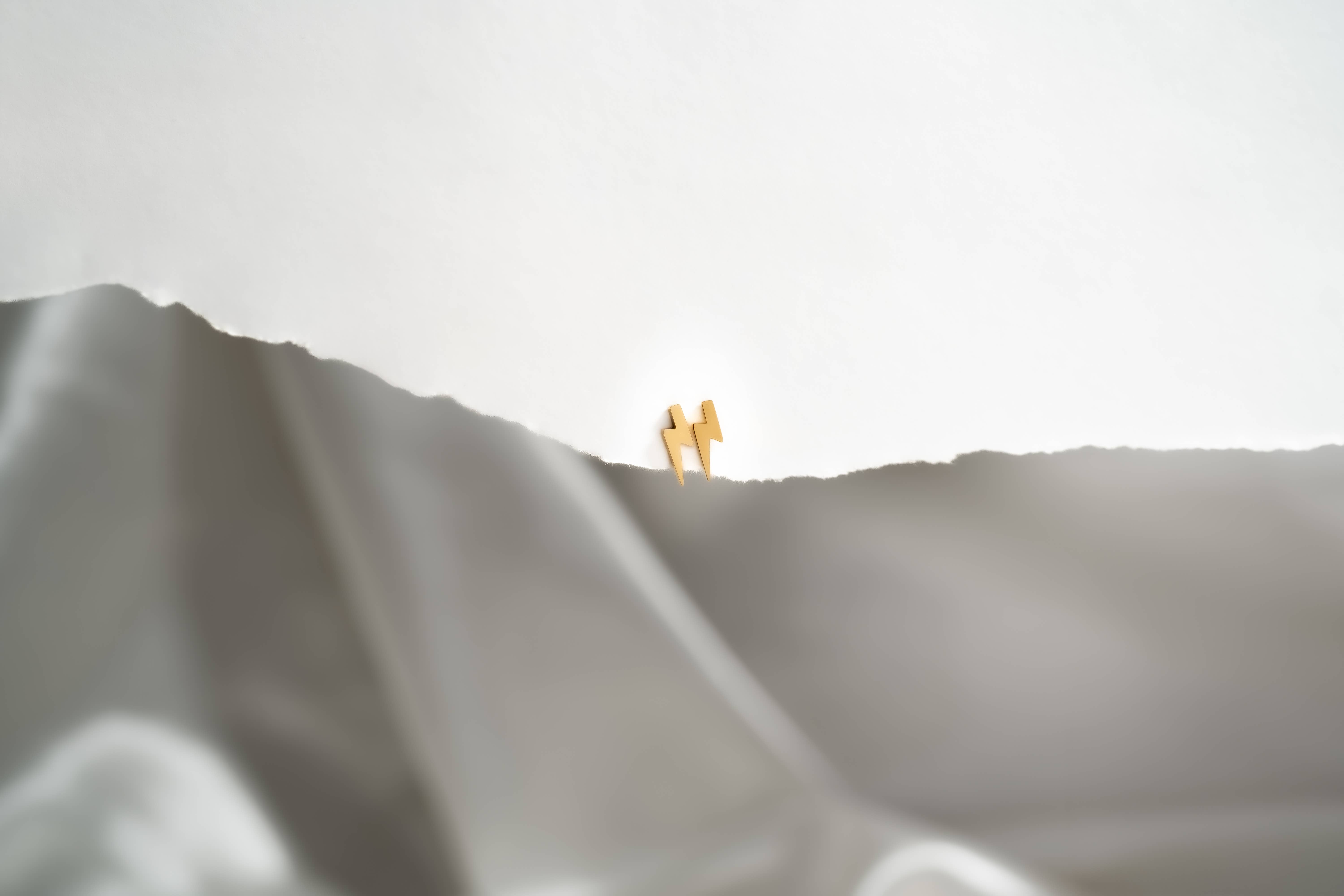 WJW – wholesale Solitärörhängen – Blixtformade stiftörhängen i rostfritt stål med 18K guld PVD.3