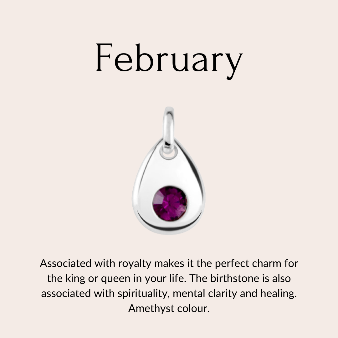 Skylos Collective - Wholesale Pet Collar Charm - Cat/Dog - Sterling silver birthstone collar charm4