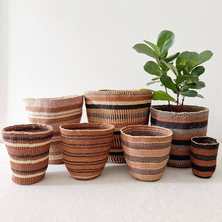 Panier de Plantes de Stockage - Assortiment 893 (PIÈCE UNIQUE) pour la vente par Amsha
