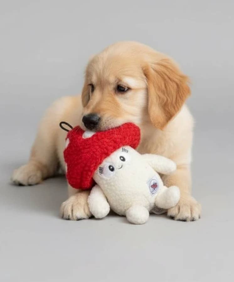 Pals For Paws - Vente Peluche – chien - Tiny le jouet en peluche pour chien en forme de champignon caché - 100 % recyclé