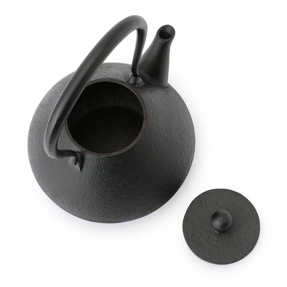 REALJAPANPROJECT – wholesale Tekanna – Rikucho Ogasawara Nambu Gjutjärnskittel Suehiro Japan4