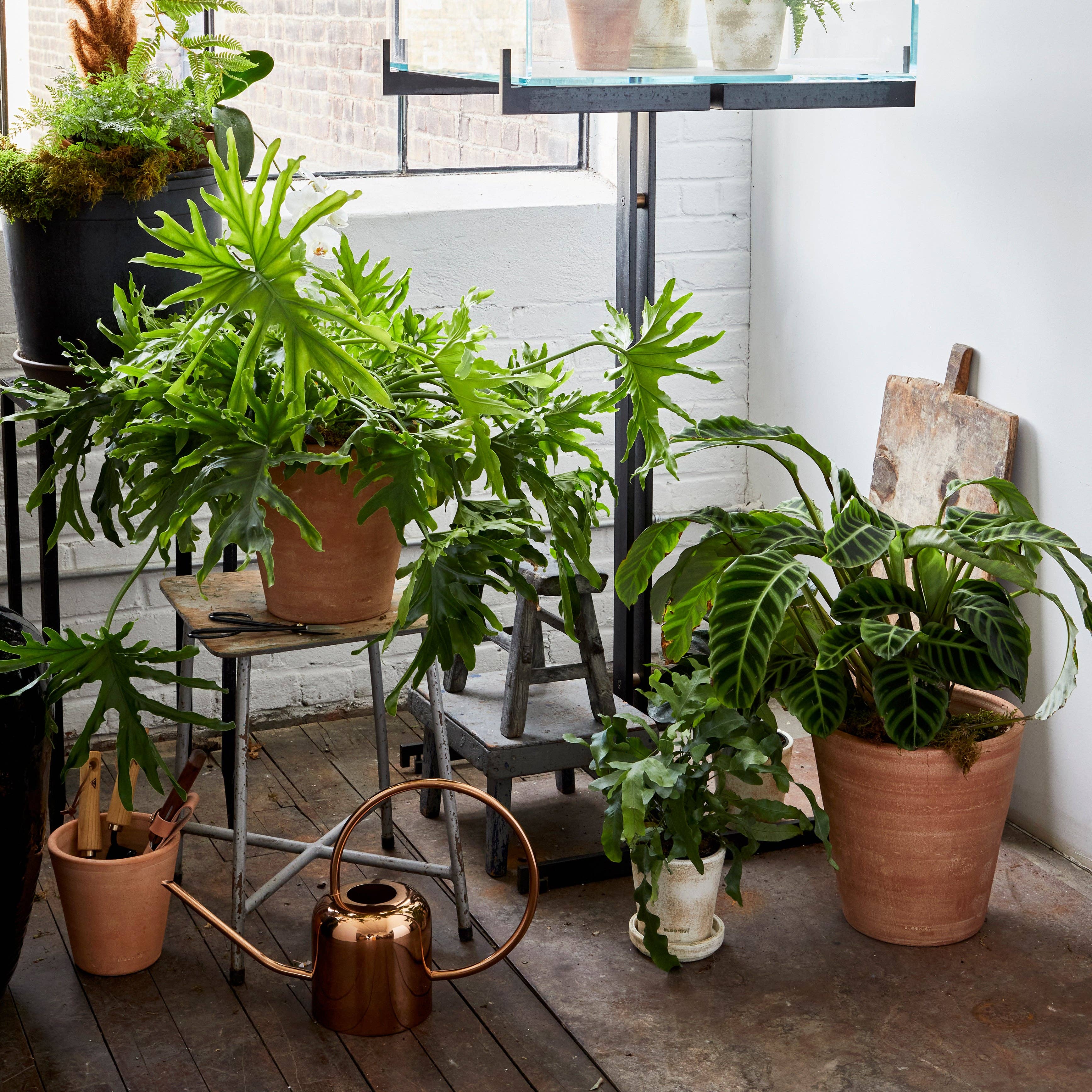 Bloomist – wholesale Plant pot – Studio Planter, Whitewash10