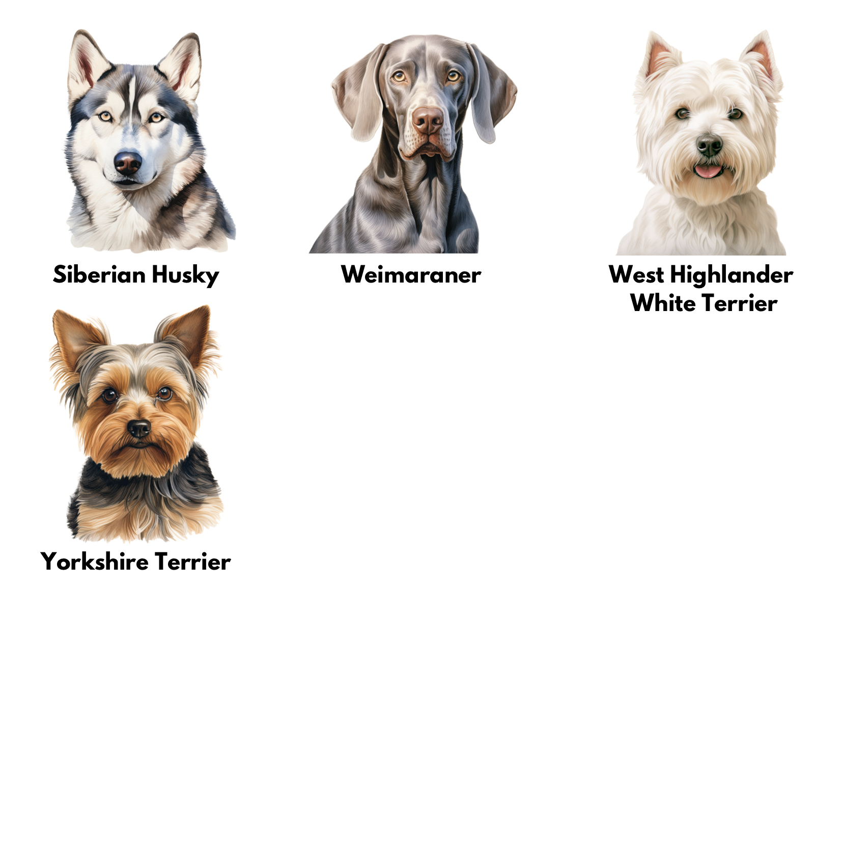 Cambria K9 - Wholesale Magnet - Dog Breed Magnets 11