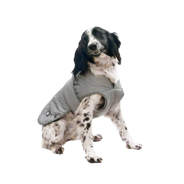 Ultimate All Weather Reflective Dog Coat for wholesale by Ancol Pet Products Ltd