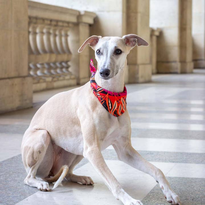 Atelier Markiz - Wholesale Hondenbandana - Hond - Java-bandana