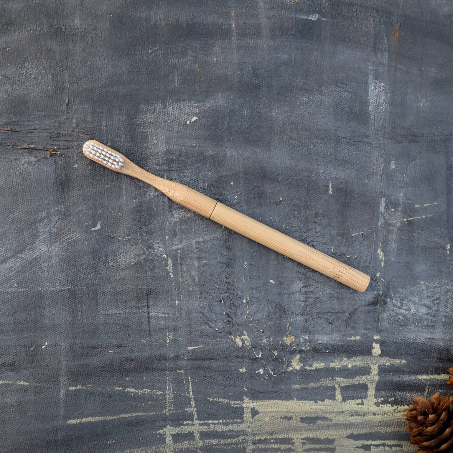 Plantish - Wholesale Toothbrush - [BUY BULK] Bamboo Toothbrush (Canada Only)2