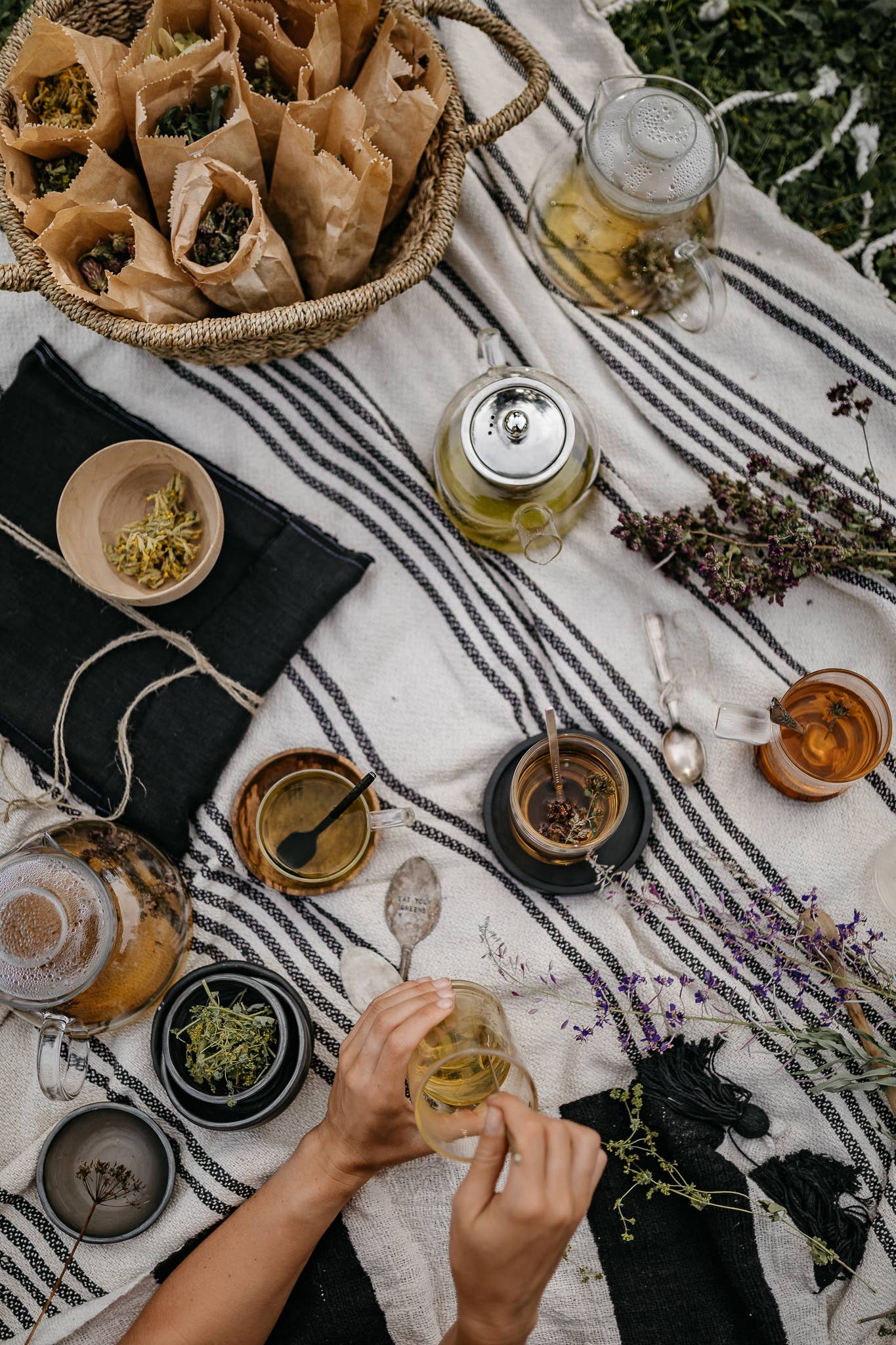 Plūkt - Wholesale Health/detox tea - Nordic Black Tea - decaf, energy-boost, organic, herbal tea9