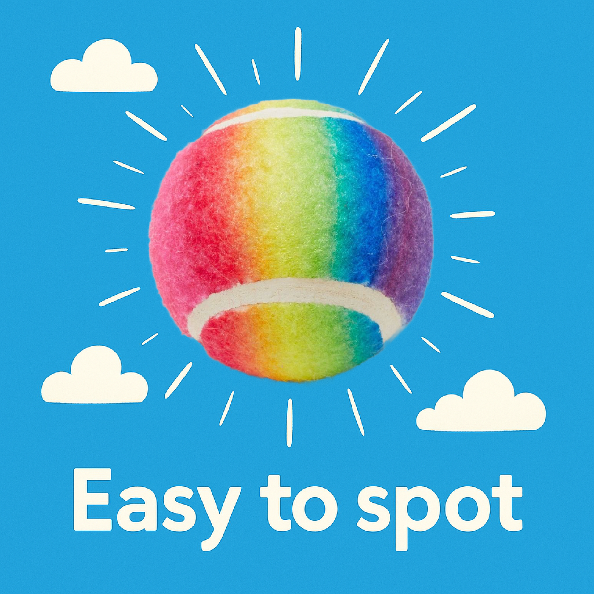 PetLondon - Wholesale Pet Fetch Ball - Dog - Rainbow Dog Tennis Balls2