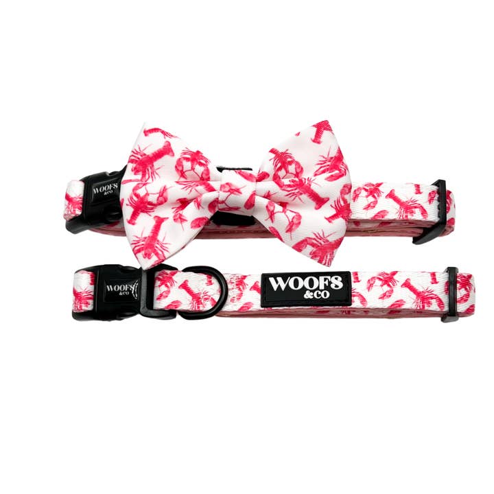 Woofs & Co - Wholesale Pet collar – Dog - Collar - Crazy Lobster Collection1
