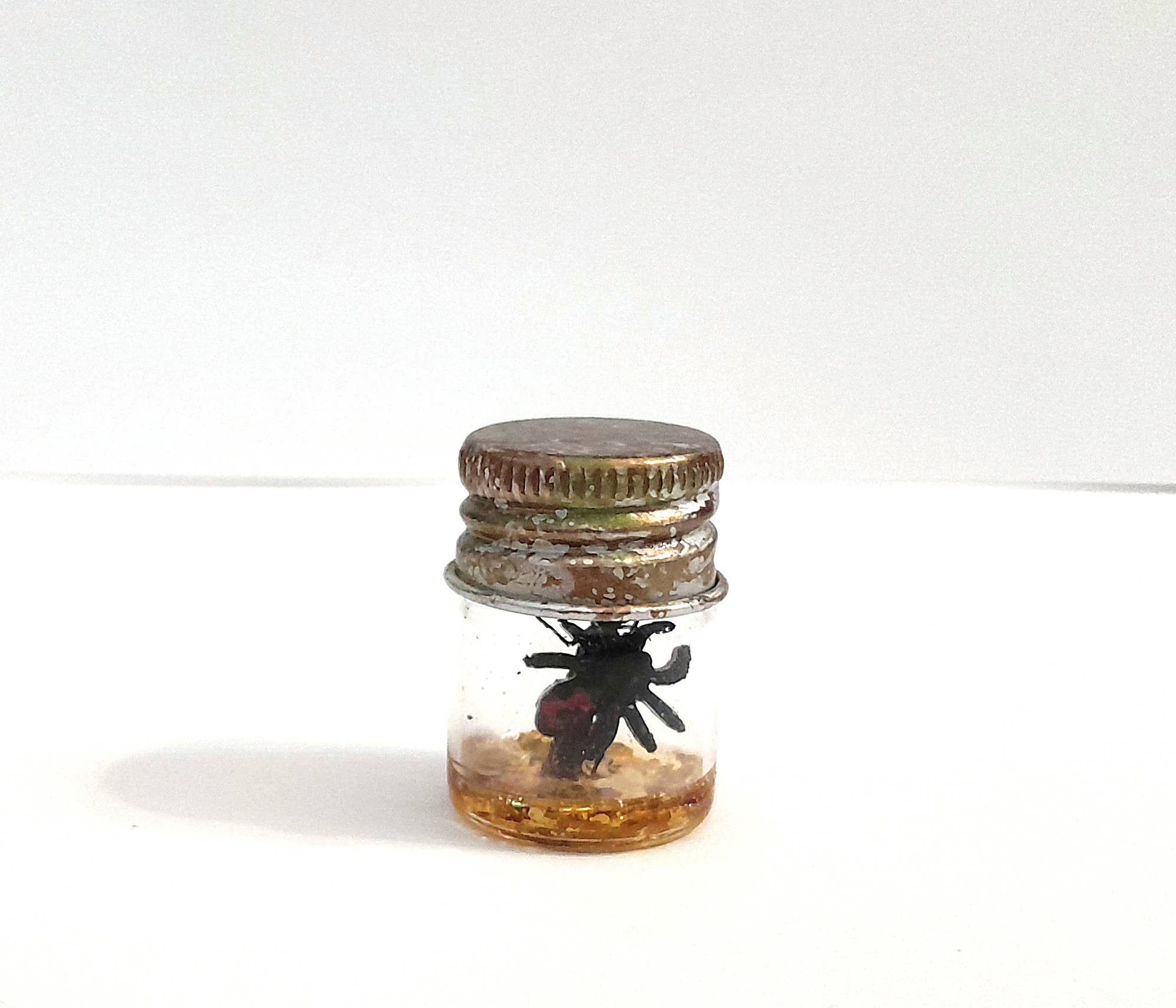 SUPERAWWWSOME - Wholesale Decorative Jar - Spider Specimen Bottle Black Widow Dollhouse Mini Halloween6