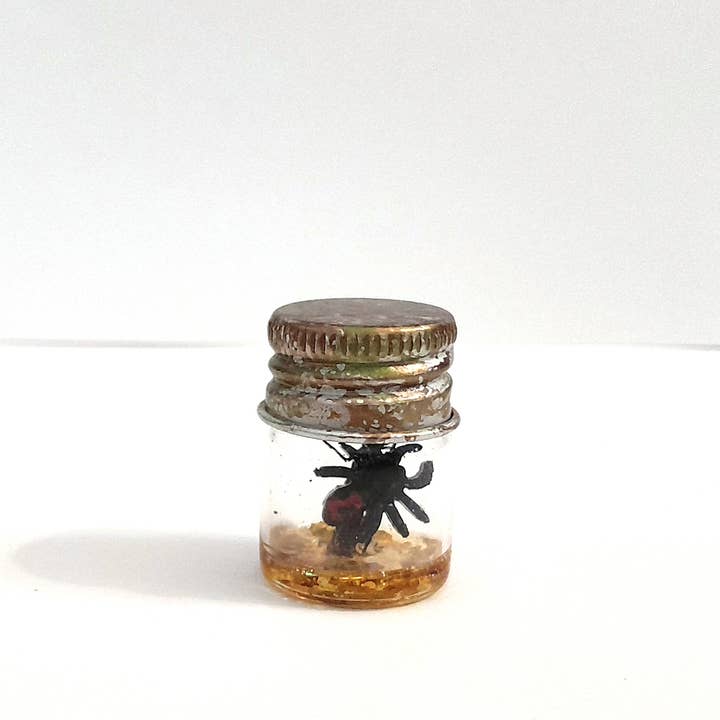 SUPERAWWWSOME - Wholesale Decorative Jar - Spider Specimen Bottle Black Widow Dollhouse Mini Halloween6