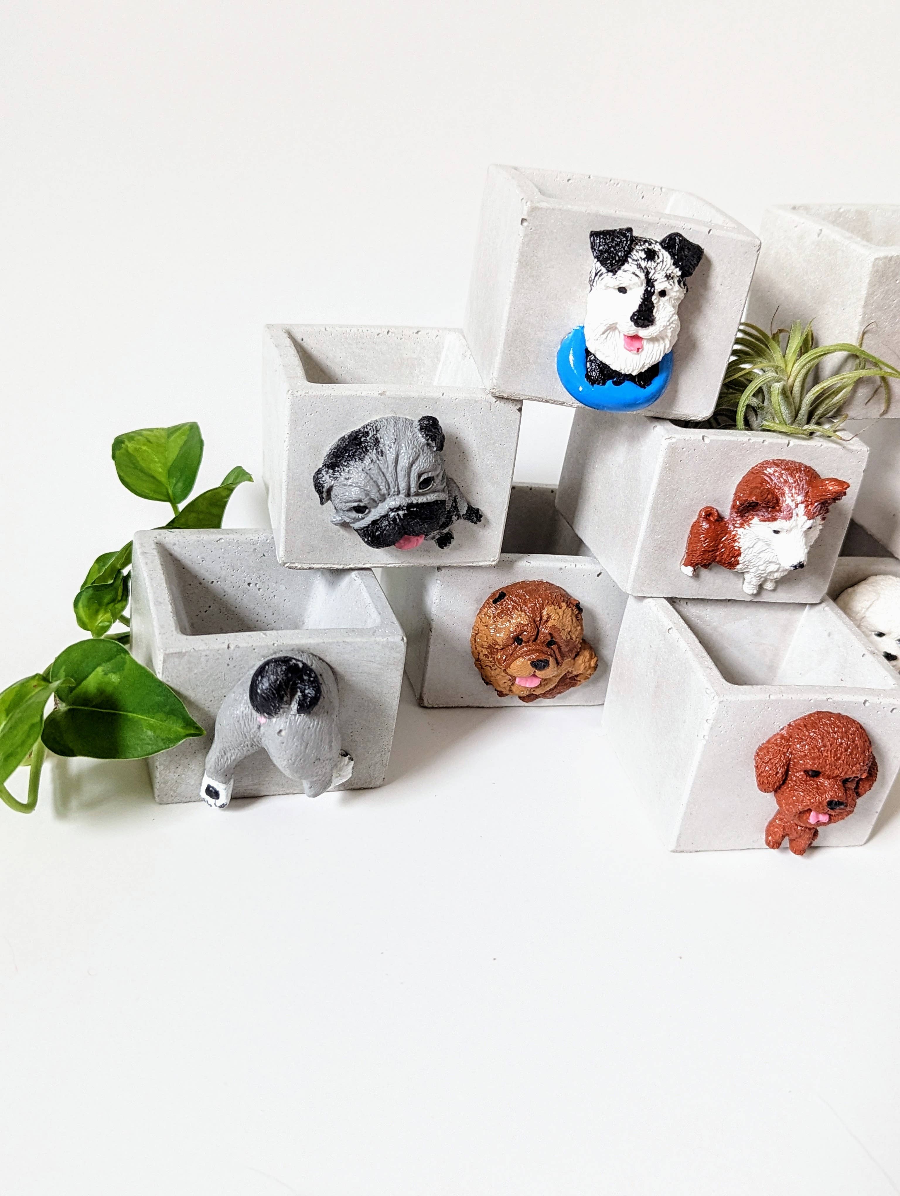 ForgottenProperty - Wholesale Plant pot - Doggo Mini Concrete Planter and Air Plant Holder2