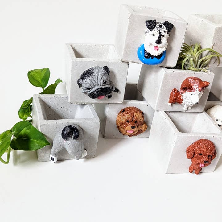 ForgottenProperty - Wholesale Plant pot - Doggo Mini Concrete Planter and Air Plant Holder2