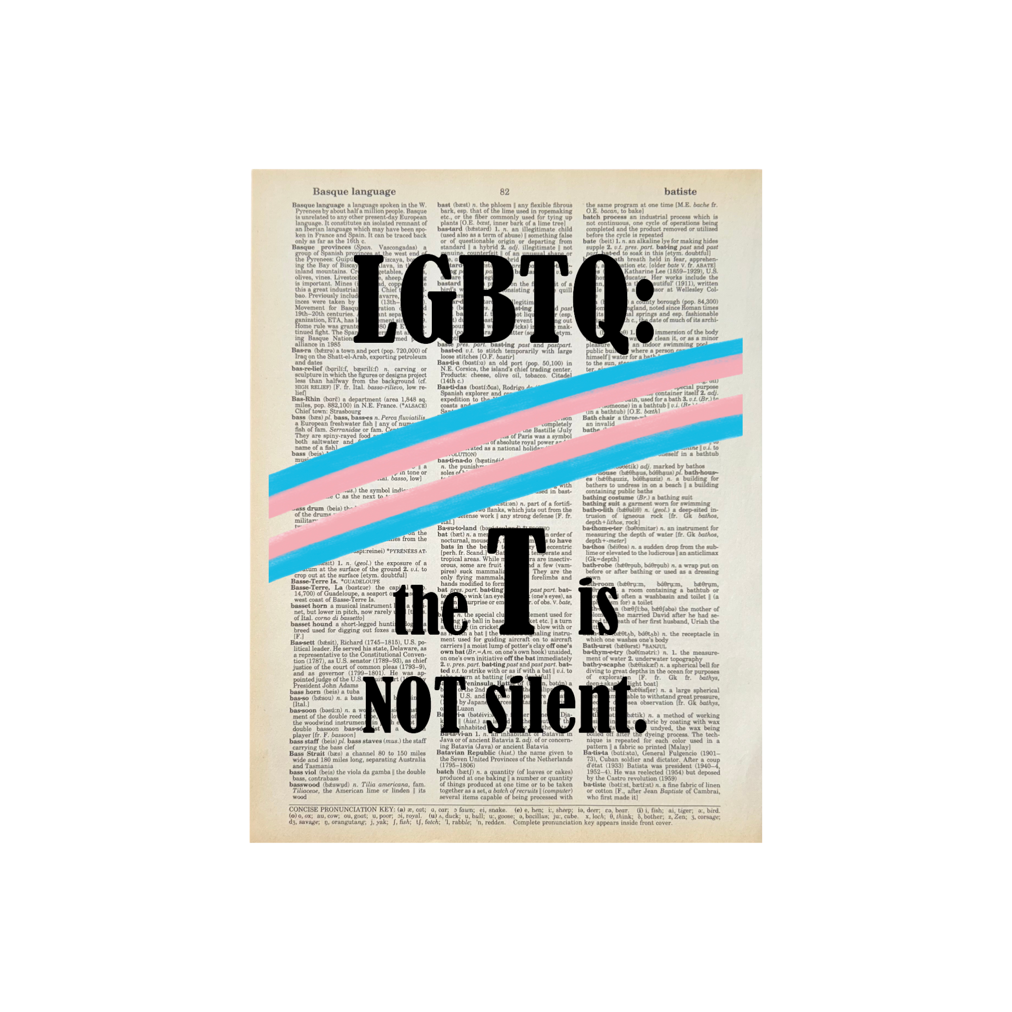 Bookish Birds - Wholesale Art Print - LGBTQ T not Silent| Dictionary | Vintage Book Art0