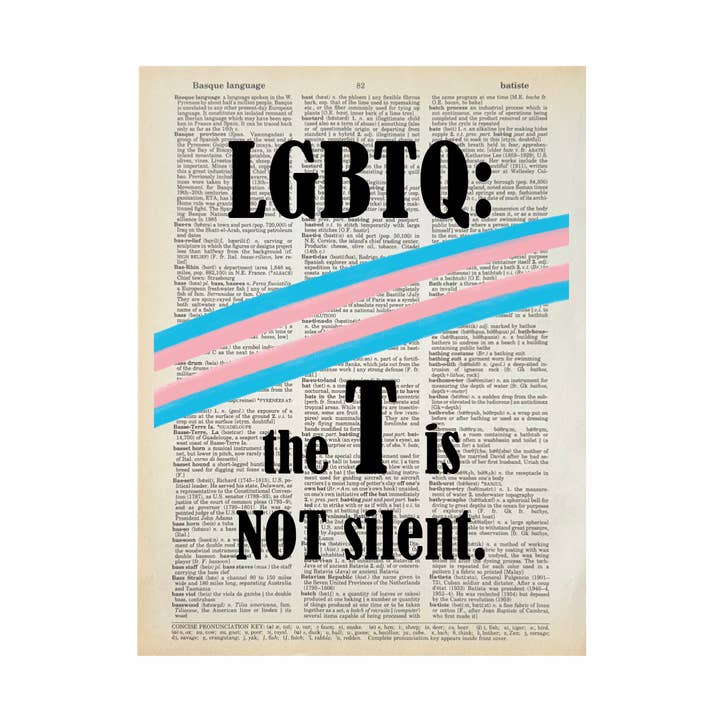 Bookish Birds - Wholesale Art Print - LGBTQ T not Silent| Dictionary | Vintage Book Art0