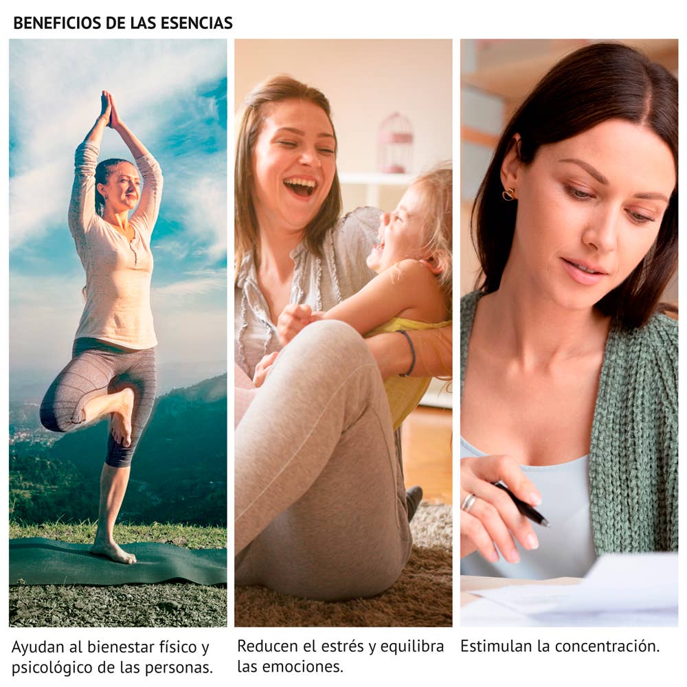 Kcosmetique – Engroshandel Duftolie – ESSENS AMBAR DAMA DE NOCHE 50ML1