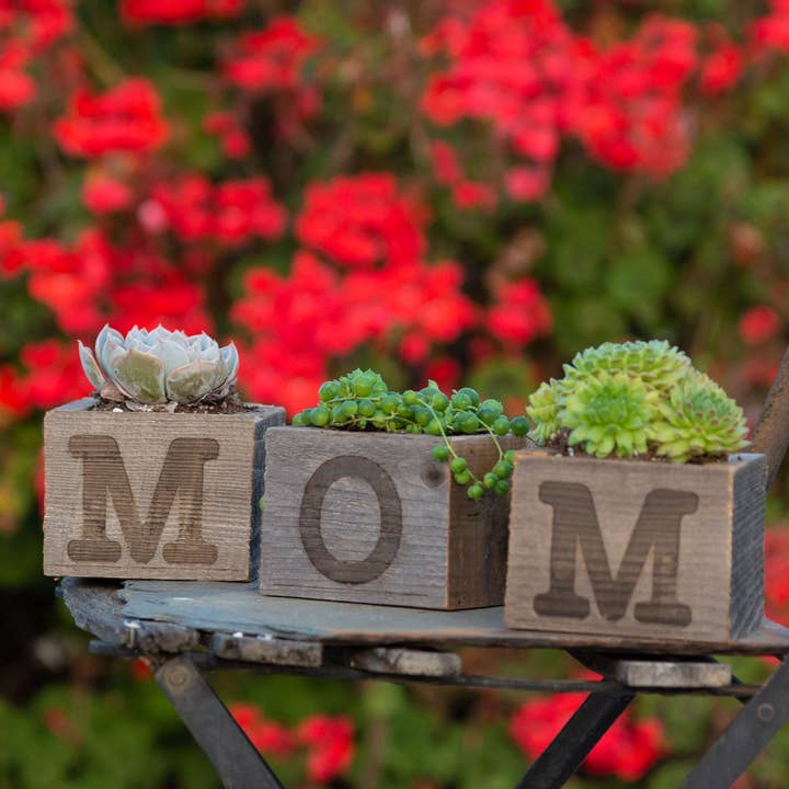 Love Reclaimed - Wholesale Planter Box - Rustic Wood Small MOM Planter Set / MOM Planter Box Set