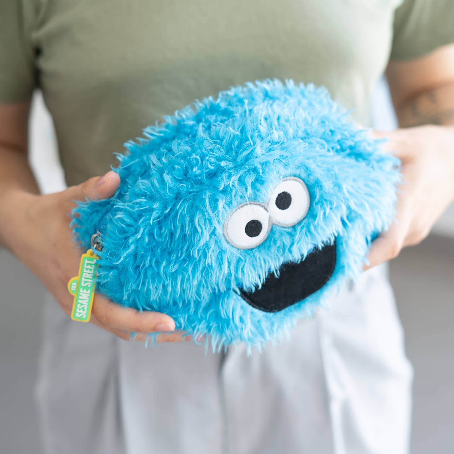 Grupo Erik USA LLC - Wholesale Pencil Case/Pouch - SESAME STREET COOKIE MONSTER PLUSH CASE