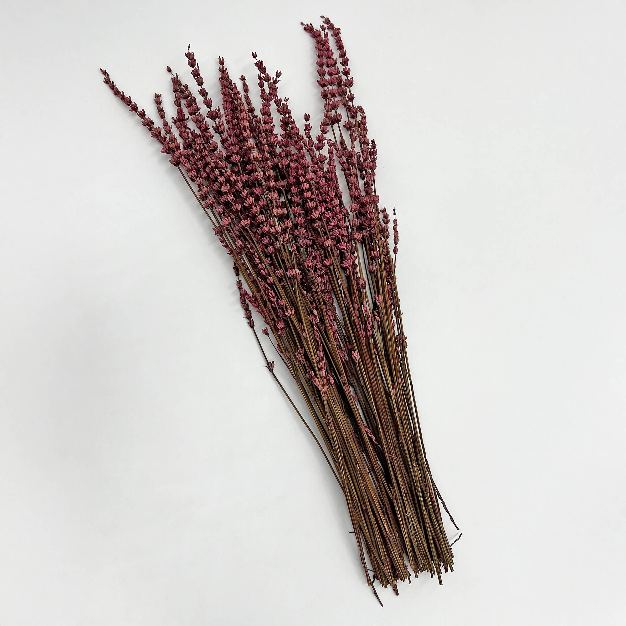 2626 Designs – Engroshandel Tørrede/pressede blomster – Tørrede konserverede lavendelbuketter, 53 cm, flere farver1