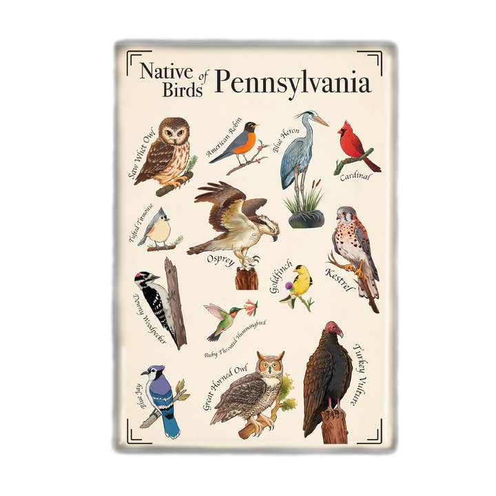 Aimant Oiseaux Natifs de Pennsylvanie pour la vente par Lucky Mfg. Co.