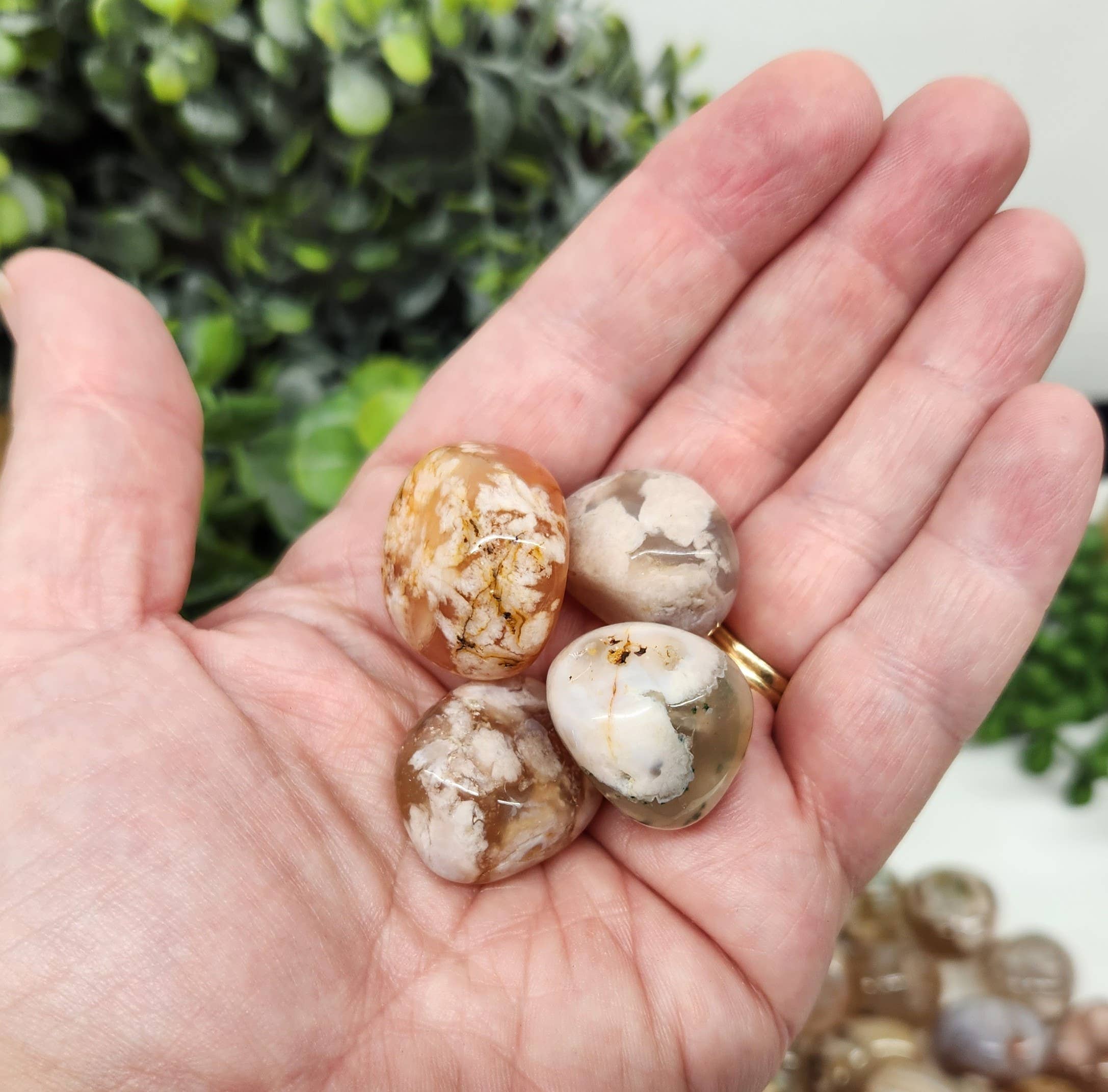 Meraki Gemstones – Engroshandel Spirituelle sten og krystaller – Flower Agate polerede sten ca. 20-25 mm (1 kg/2,2 lbs.)4