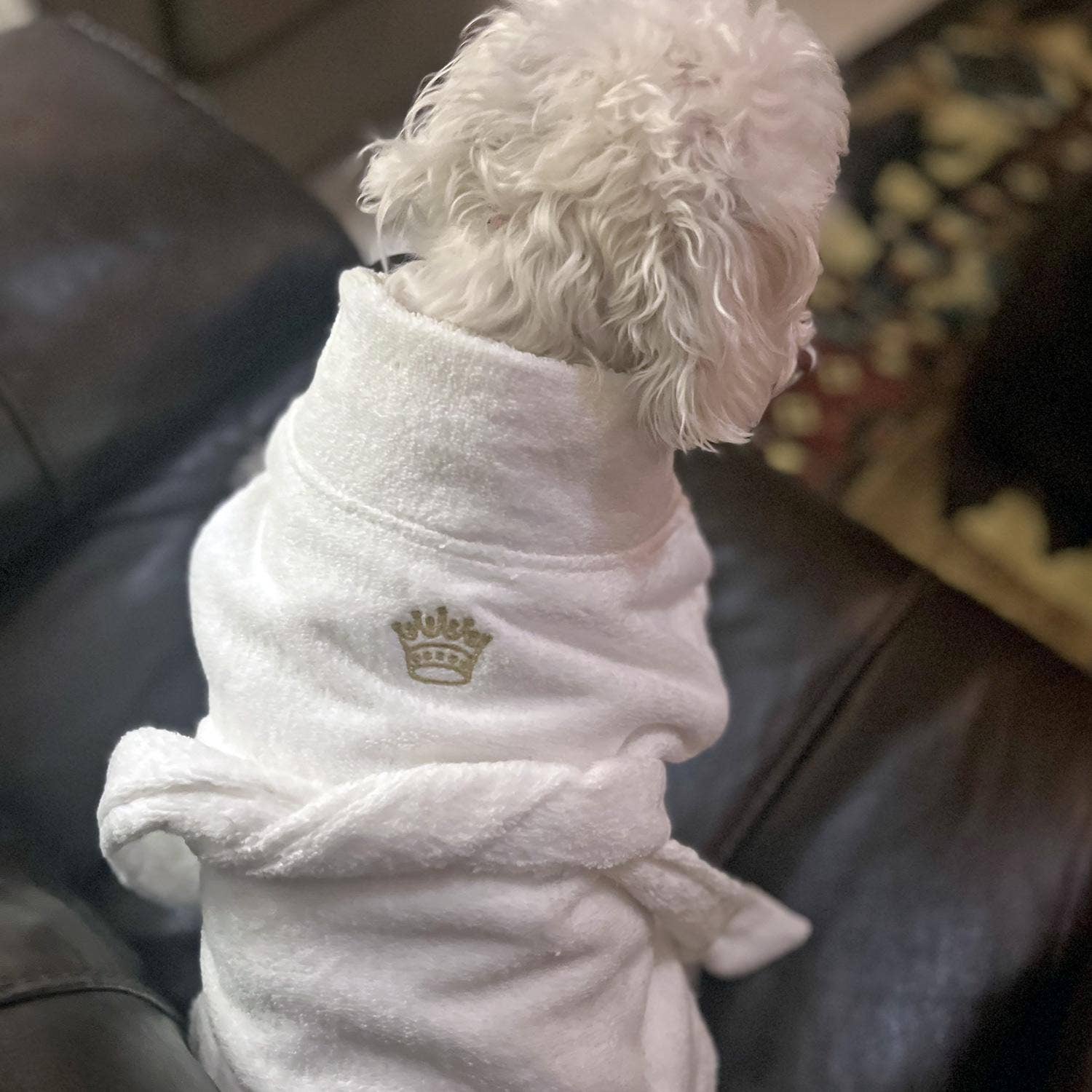 Doggie Design - Wholesale Pet Dress - Dog - White Gold Crown Cotton Dog Bathrobe by Doggie Design2