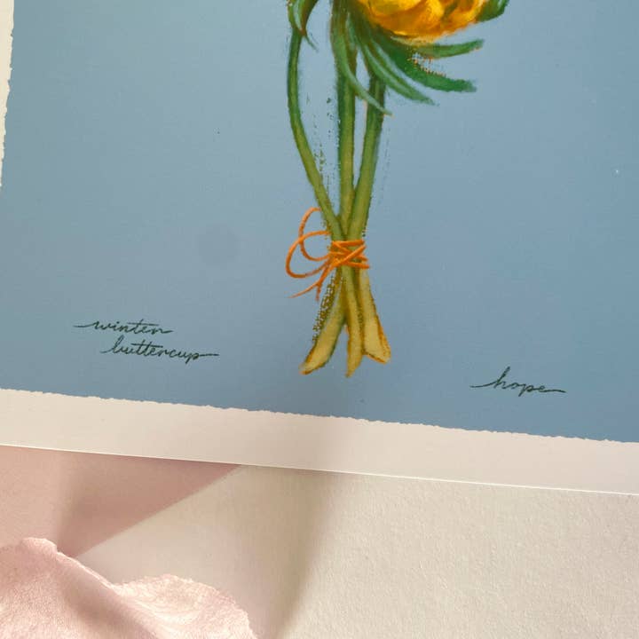 Cindy Tran Art - Vendita all'ingrosso Biglietti di auguri generici - Biglietto di Auguri Ranuncolo Invernale - “Speranza” - Fiore Invernale