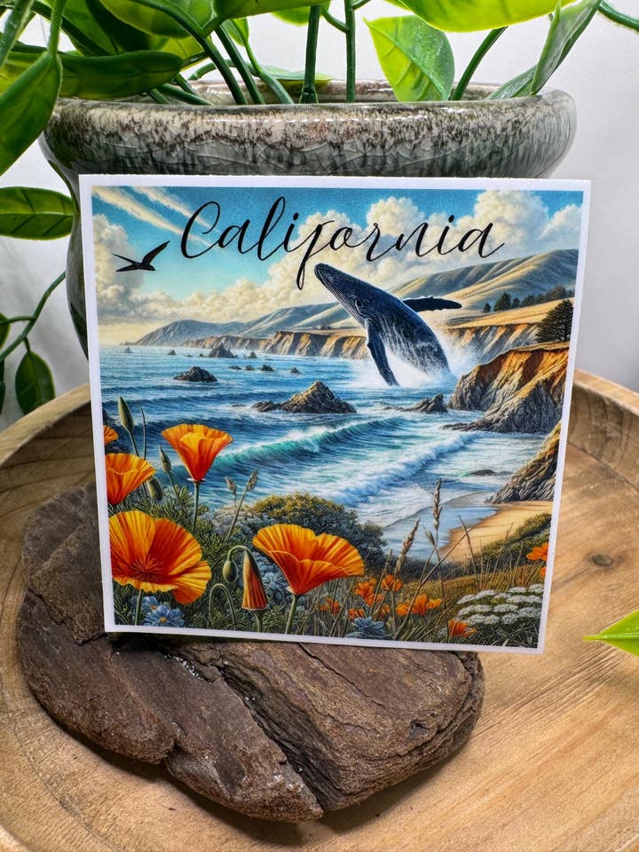 California Coast Whale Glossy Waterproof Vinyl Sticker for wholesale by California Dreaming Co