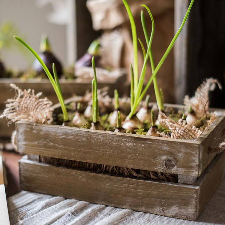 Rustic Reach - Wholesale Basket - Solid Wood Crate With Rope Handles3