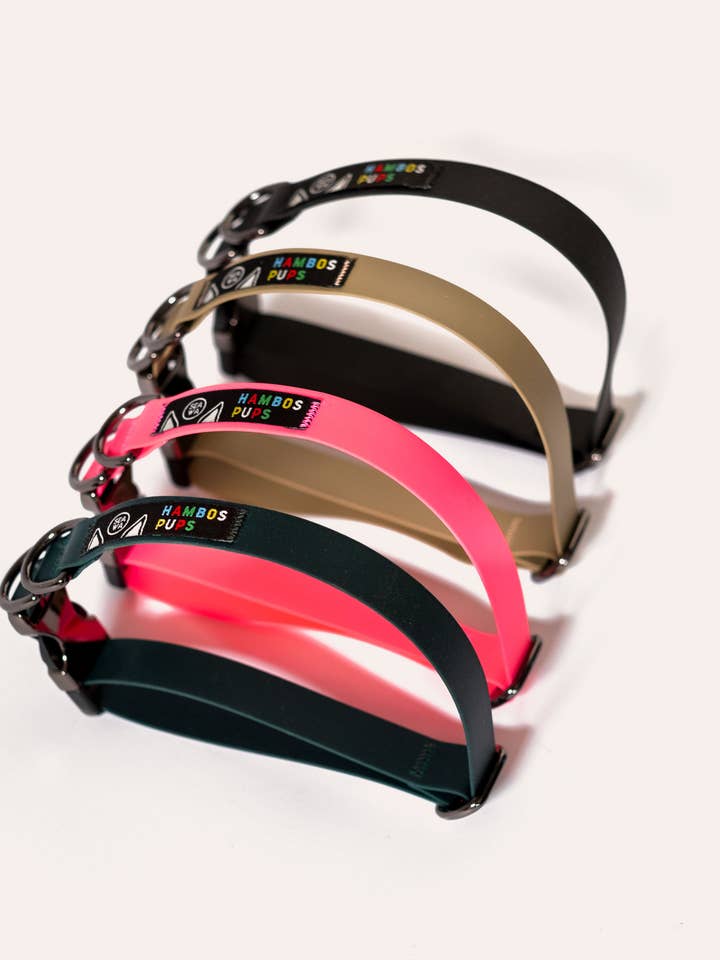 Collier PNW Dry pour la vente par Hambos Pups