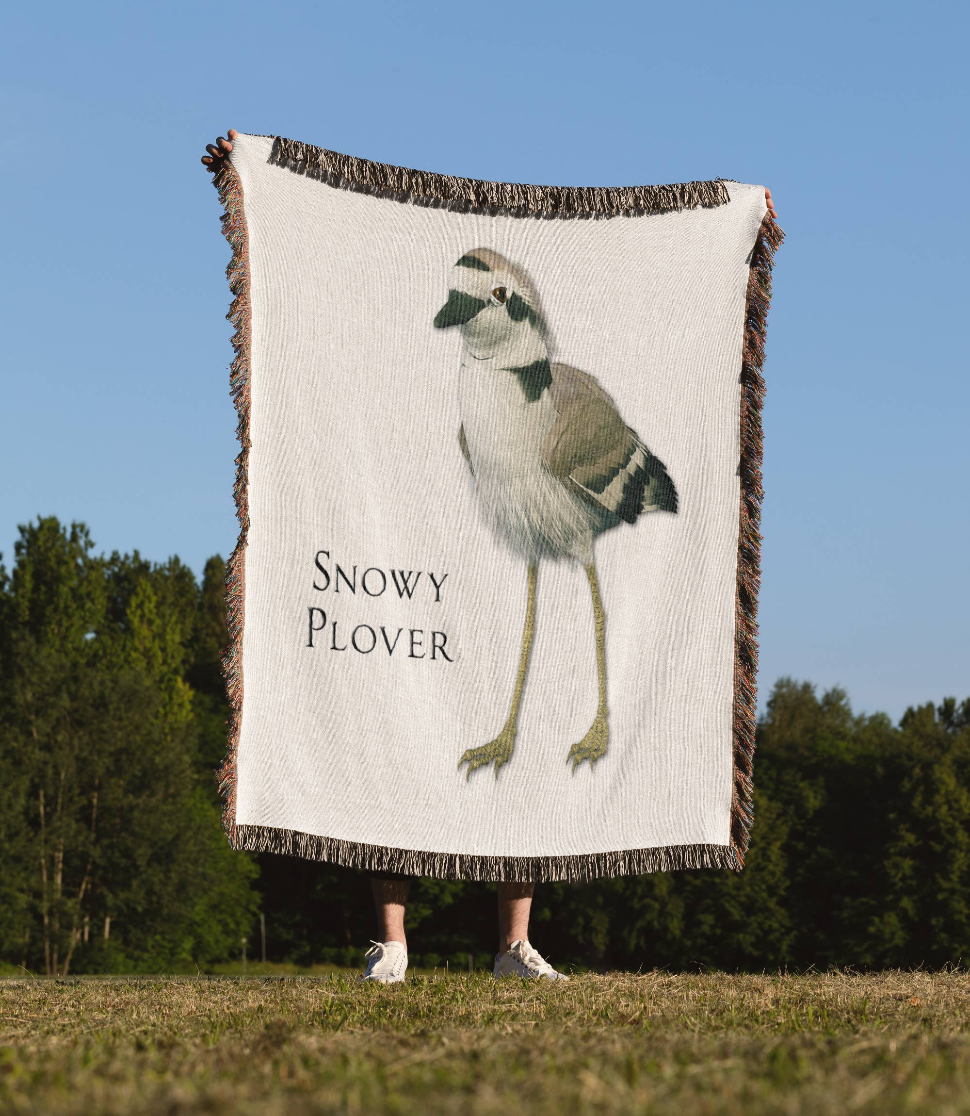 3dRose - Wholesale Throw Blanket - 3dRose, Snowy Plover Shorebird, Blanket1
