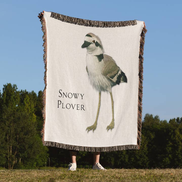 3dRose - Wholesale Throw Blanket - 3dRose, Snowy Plover Shorebird, Blanket1
